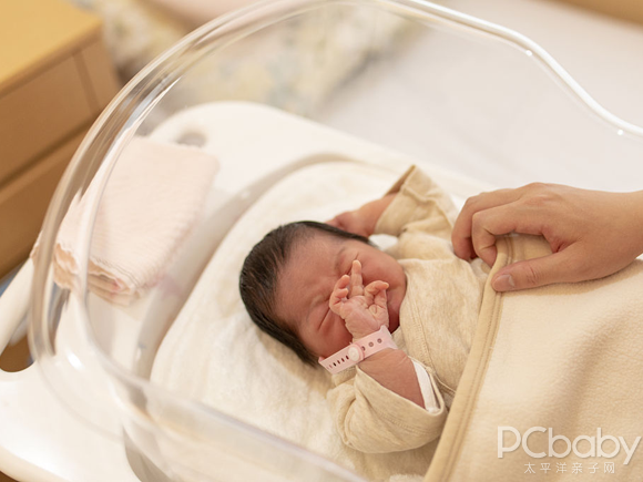 ���»��������������������ƪ��