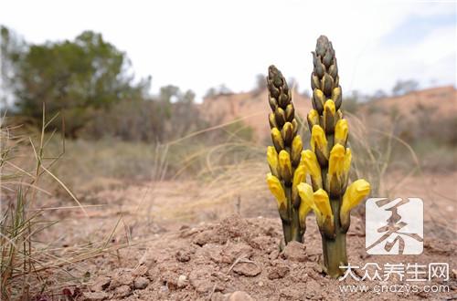 �������ݾƹ�Ч����Щ��