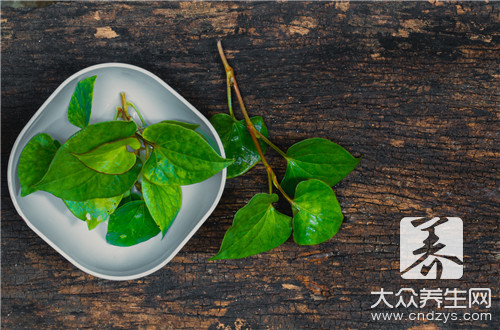 �������Ȳ�����������